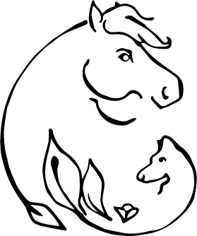 Équilibre et performance